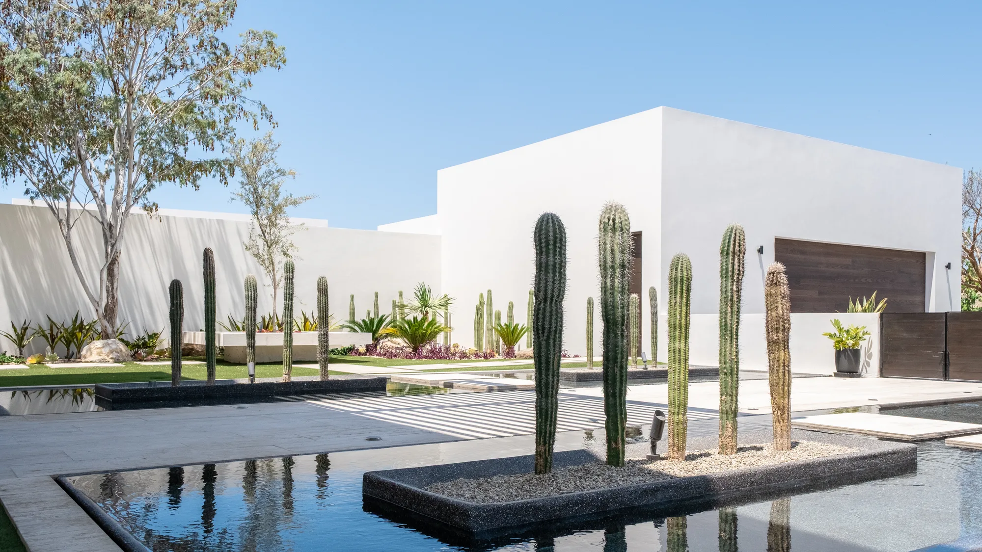 White cubic volume with a wood garage door above cactus gardens and reflecting pools laced with striped shadows