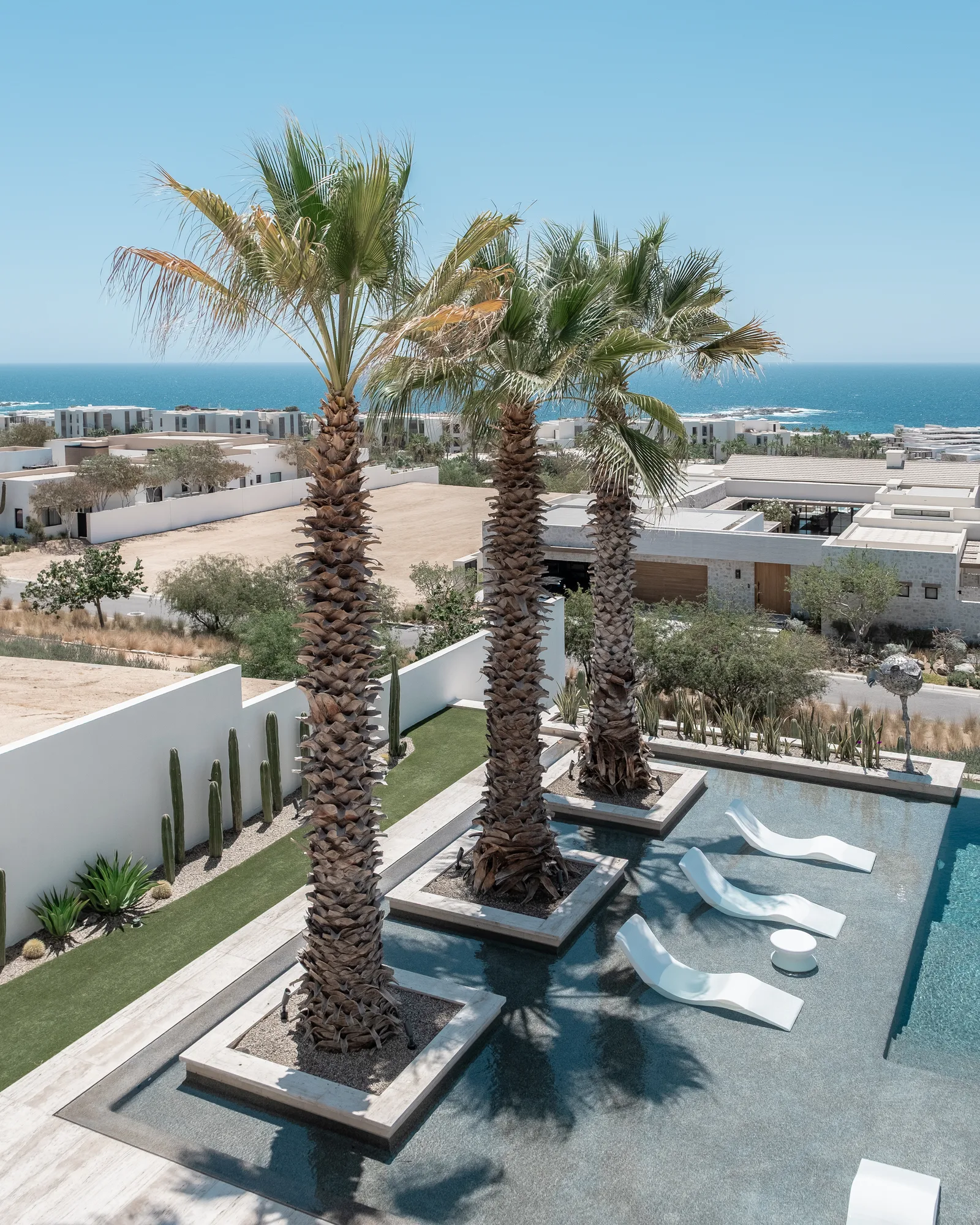 Elevated view of date palms in planters along the pool with sculptural loungers, over rooftops toward the sea
