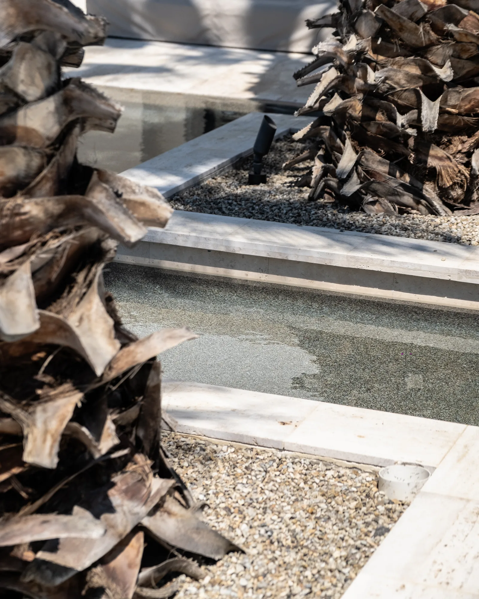 Close-up of shaggy date palm trunks flanking a reflecting pool channel with gravel and travertine coping