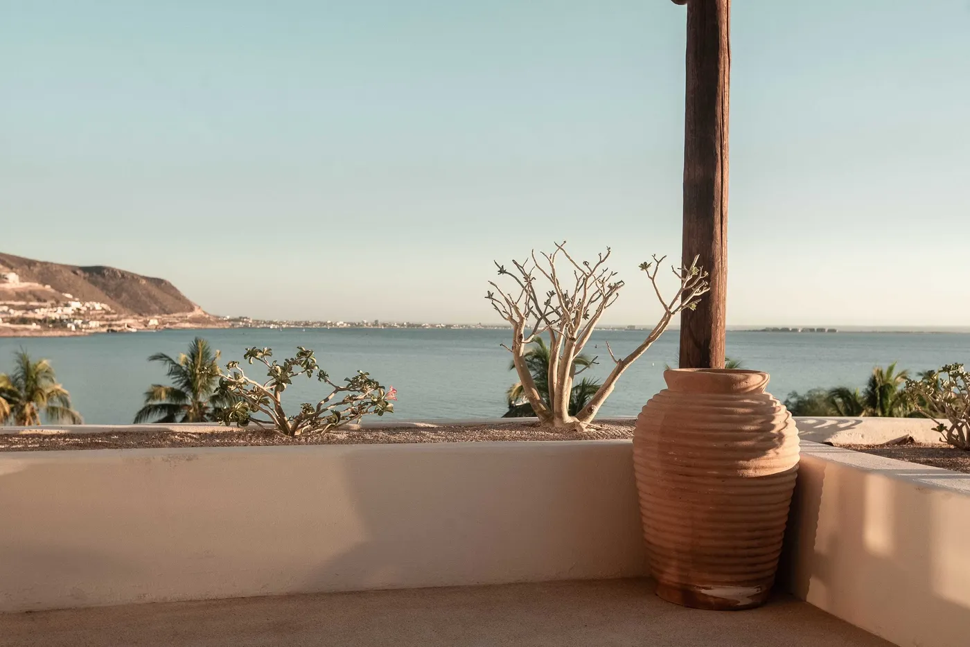 Terrace with a terracotta jar and a sculptural bare shrub overlooking the Bay of La Paz, mountains and marina at golden light
