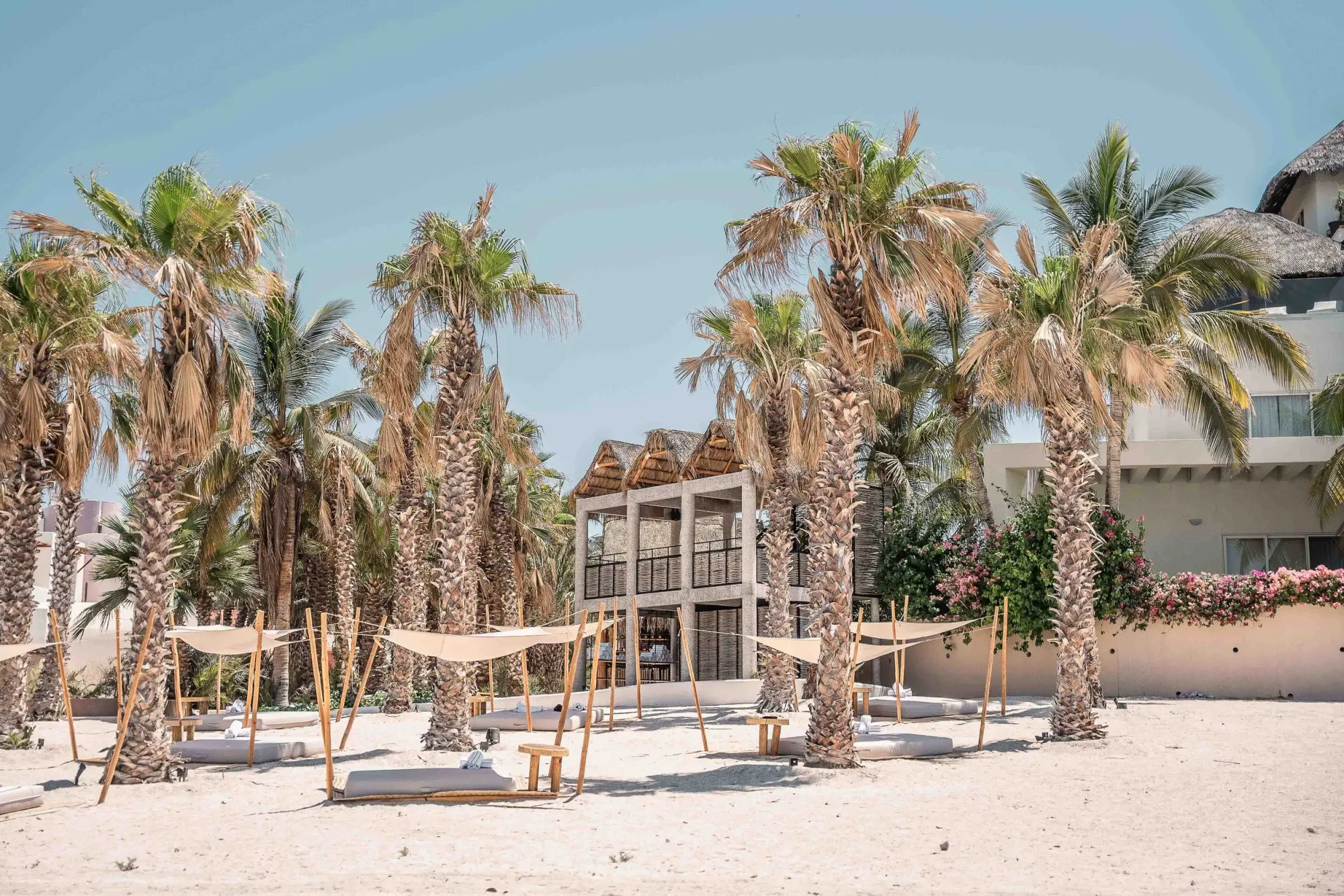 The beach club seen from the sand, its palapa-topped building framed by palms above shade-sail daybeds