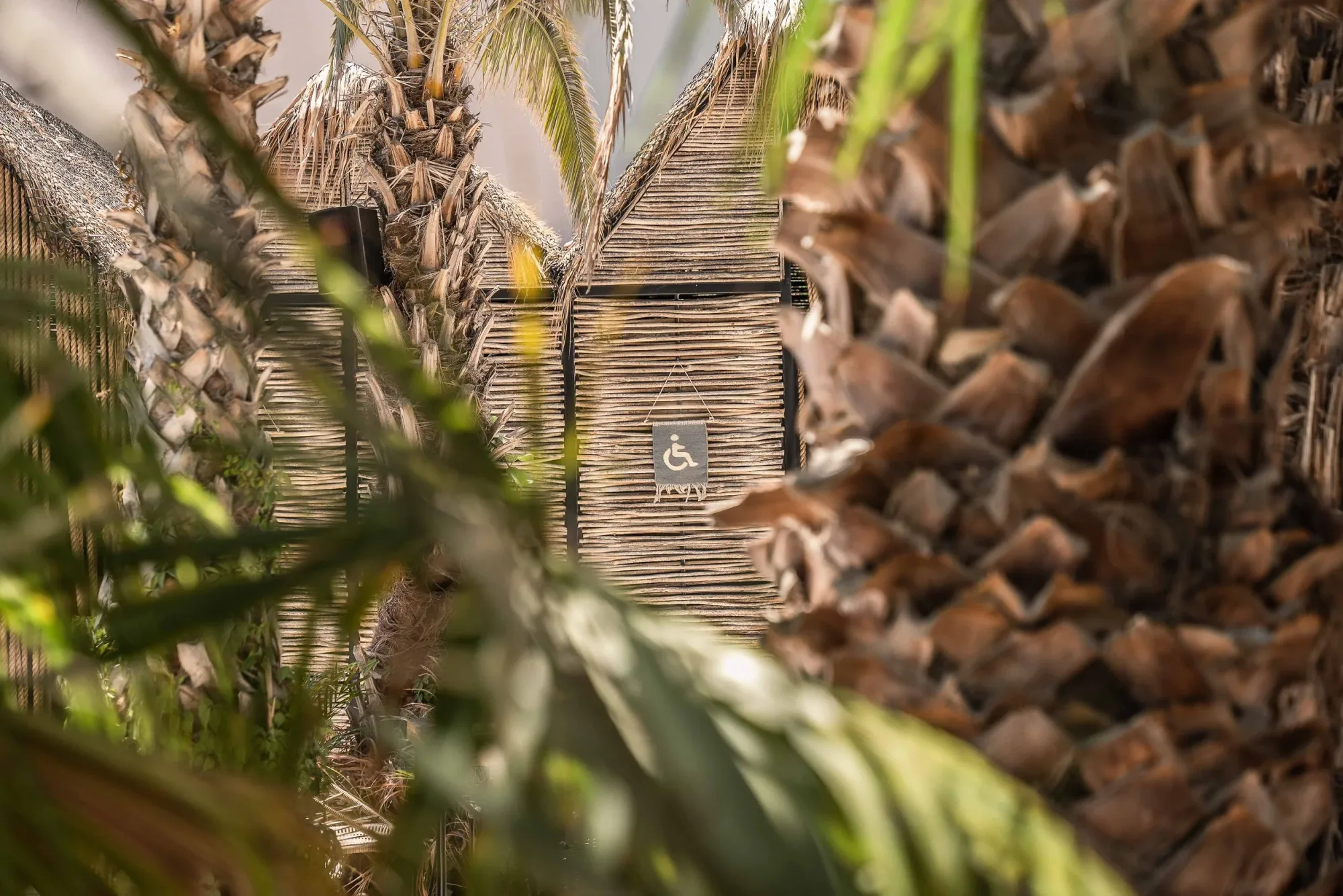 A stick-clad cabana with an accessibility sign glimpsed through palm trunks and fronds
