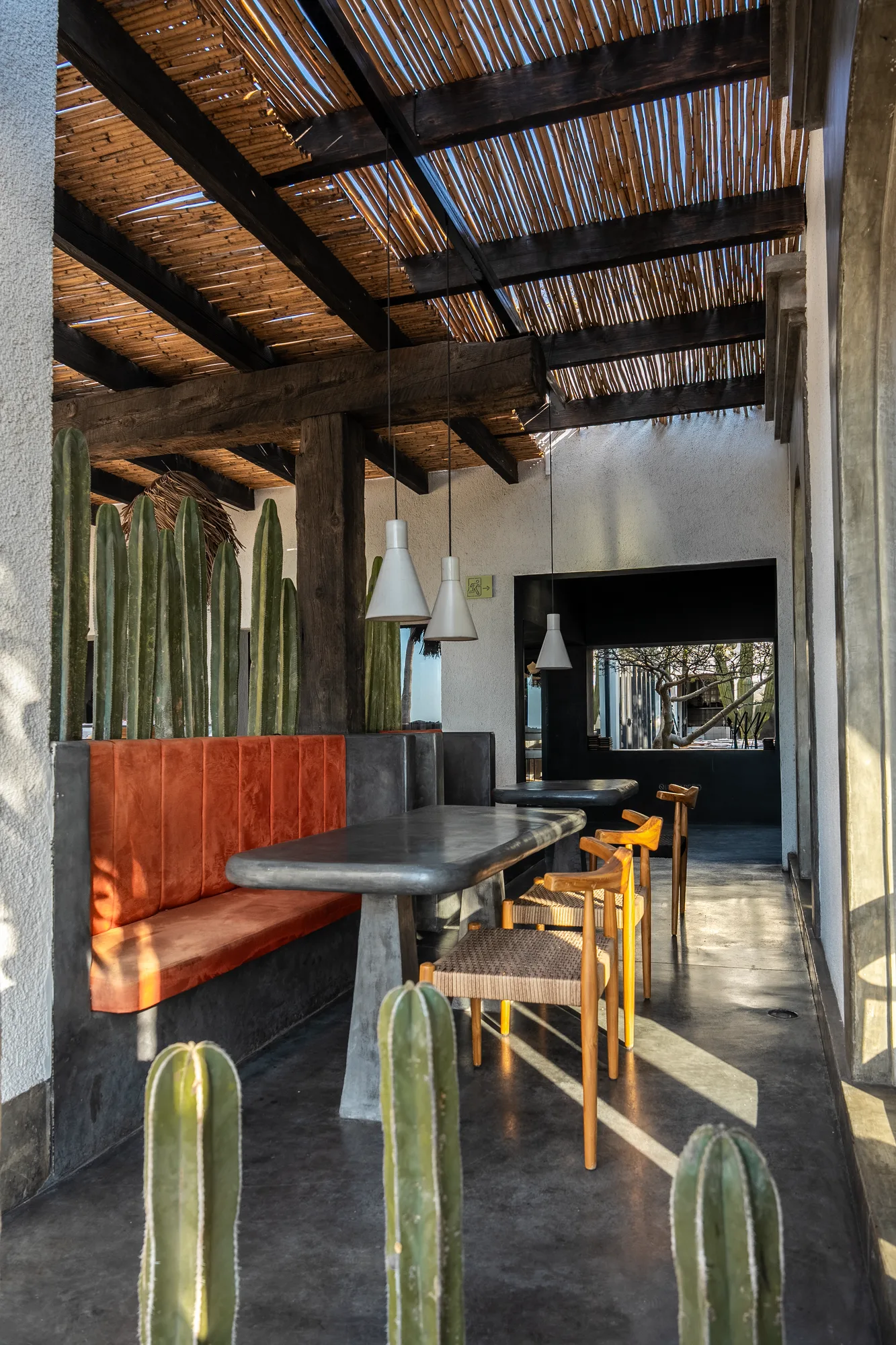 Covered terrace with a reed roof on timber beams, a banquette with an orange-tiled base and a concrete table among tall cacti