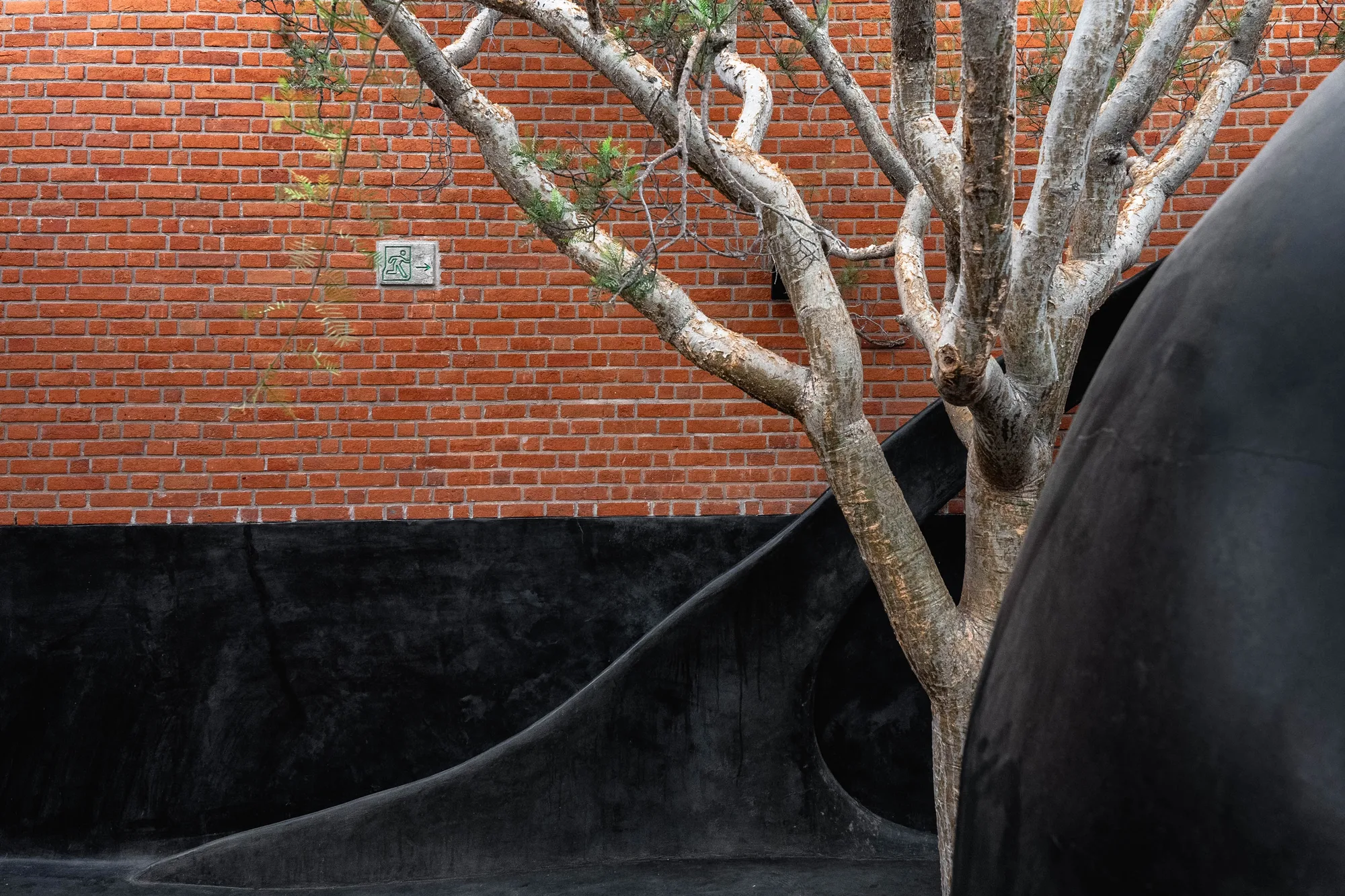 Courtyard detail of a bare sculptural tree against a red brick wall beside the black organic form of the fire oven
