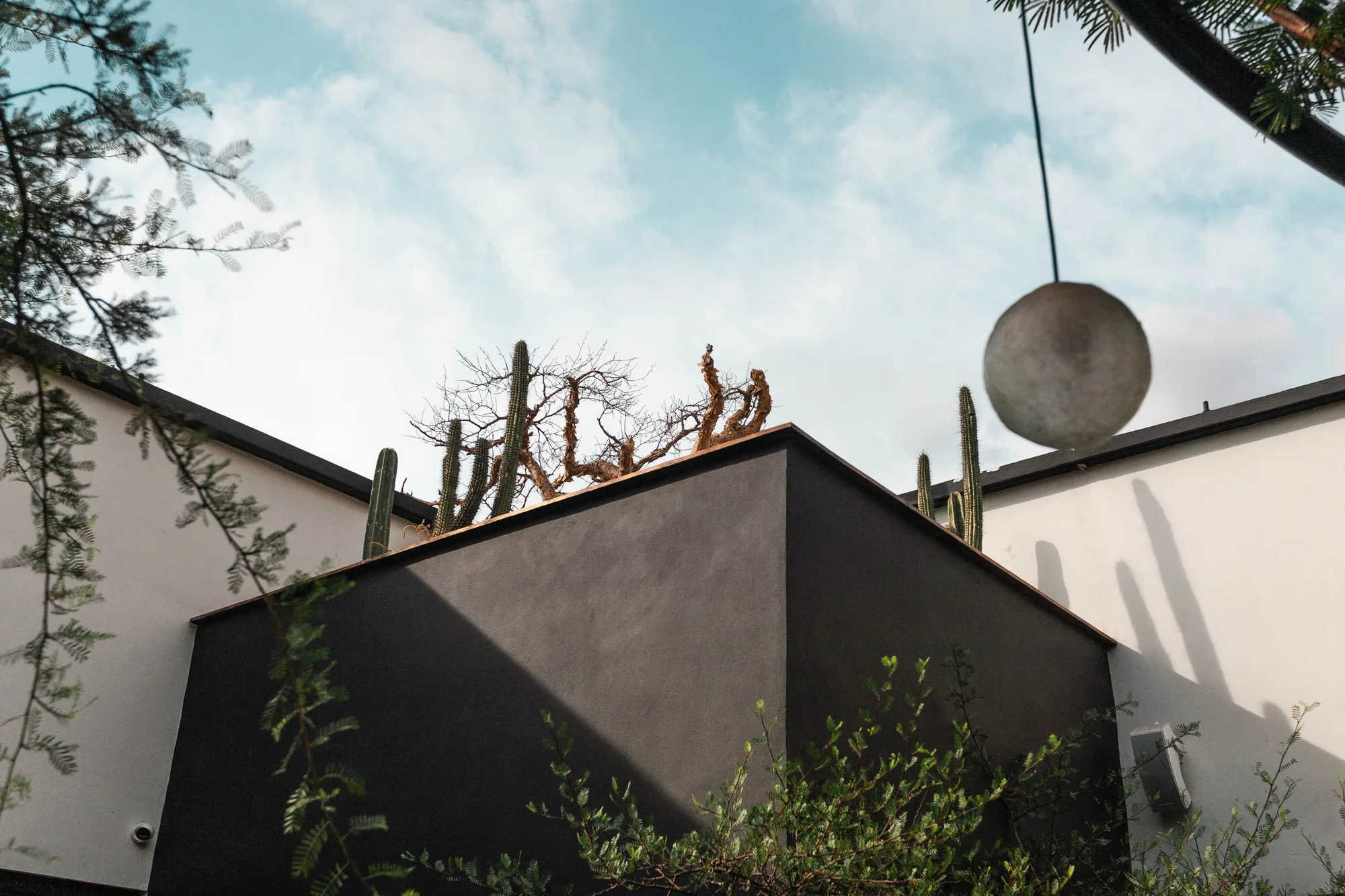 Black cubic volume topped with cacti and a gnarled branch against the sky, a concrete sphere pendant hanging nearby