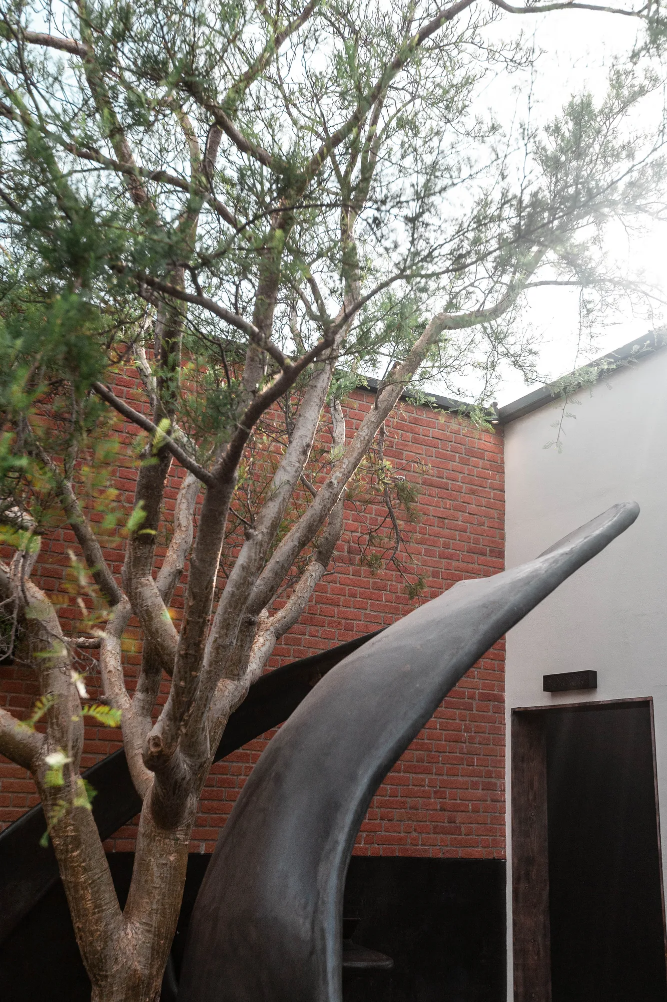 The curved black form of the fire oven beside a tree and a red brick wall in the courtyard, a dark wood door behind