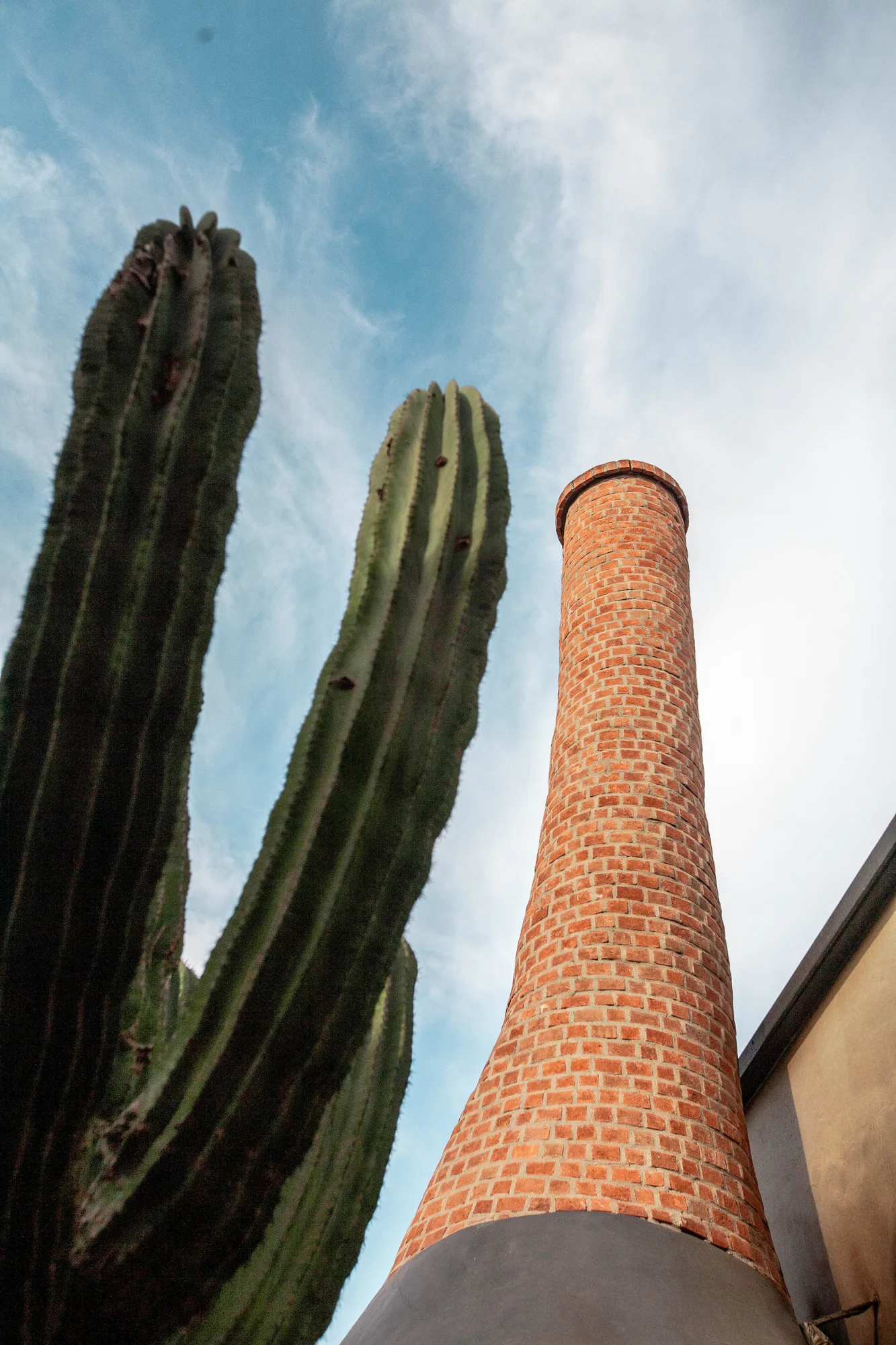 Looking up at the tall brick chimney of the wood-fired oven beside two cardón cacti against a cloudy sky