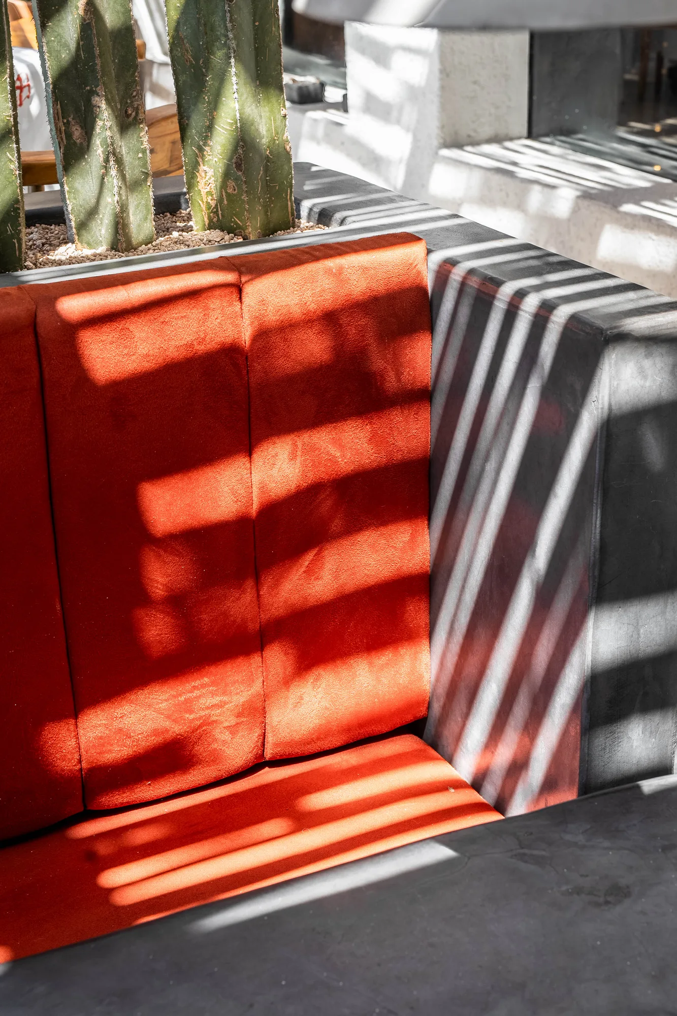 Detail of striped light across an orange-tiled banquette base and a cactus planter