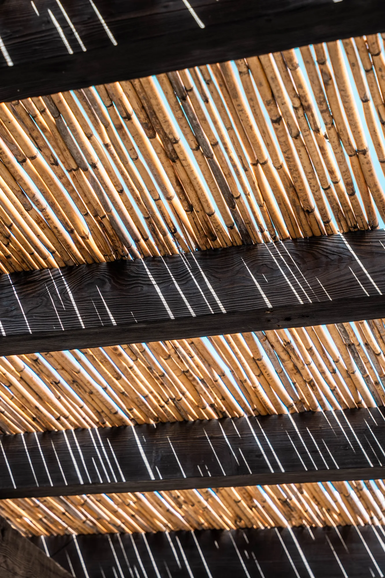 Abstract of charred timber beams and a reed roof streaked with daylight
